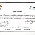Ampliar imagem: certificate 4