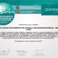 Ampliar imagem: certificate 4