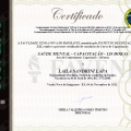 Ampliar imagem: certificate 4