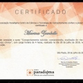Ampliar imagem: certificate 1