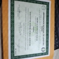 Ampliar imagem: certificate 3
