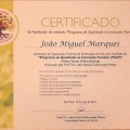 Ampliar imagem: certificate 10