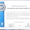 Ampliar imagem: certificate 4