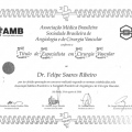 Ampliar imagem: certificate 4