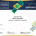 Ampliar imagem: certificate 11