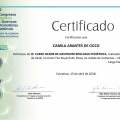 Ampliar imagem: certificate 4