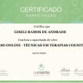 Ampliar imagem: certificate 11