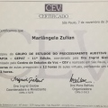 Ampliar imagem: certificate 7