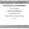 Ampliar imagem: certificate 4