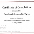 Ampliar imagem: certificate 266