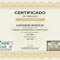 Ampliar imagem: certificate 8