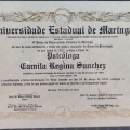 Ampliar imagem: certificate 2