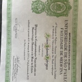 Ampliar imagem: certificate 1