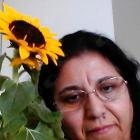  Rosa Maria Pereira Fernandes