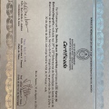 Ampliar imagem: certificate 9
