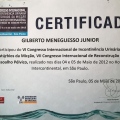 Ampliar imagem: certificate 8