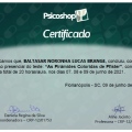 Ampliar imagem: certificate 19