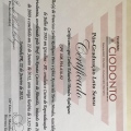 Ampliar imagem: certificate 10