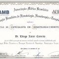 Ampliar imagem: certificate 2