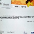 Ampliar imagem: certificate 8