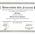 Ampliar imagem: certificate 1