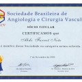 Ampliar imagem: certificate 5