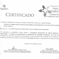 Ampliar imagem: certificate 206