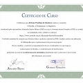 Ampliar imagem: certificate 2