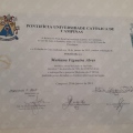 Ampliar imagem: certificate 3