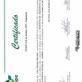 Ampliar imagem: certificate 1
