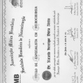 Ampliar imagem: certificate 4