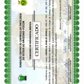 Ampliar imagem: certificate 3