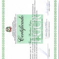 Ampliar imagem: certificate 4