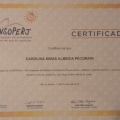 Ampliar imagem: certificate 2