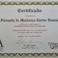 Ampliar imagem: certificate 25