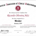 Ampliar imagem: certificate 5