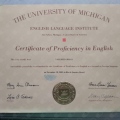 Ampliar imagem: certificate 13
