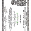 Ampliar imagem: certificate 1