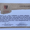 Ampliar imagem: certificate 13