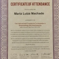 Ampliar imagem: certificate 13