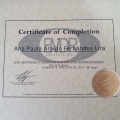 Ampliar imagem: certificate 4