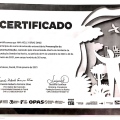 Ampliar imagem: certificate 10