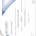 Ampliar imagem: certificate 5