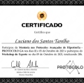 Ampliar imagem: certificate 9