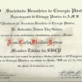 Ampliar imagem: certificate 8