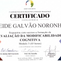Ampliar imagem: certificate 2