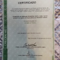 Ampliar imagem: certificate 2