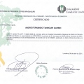 Ampliar imagem: certificate 3