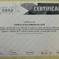 Ampliar imagem: certificate 3