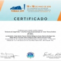 Ampliar imagem: certificate 5